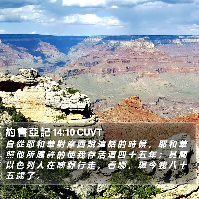 約 書 亞 記 14:10 CUVT Bible Study