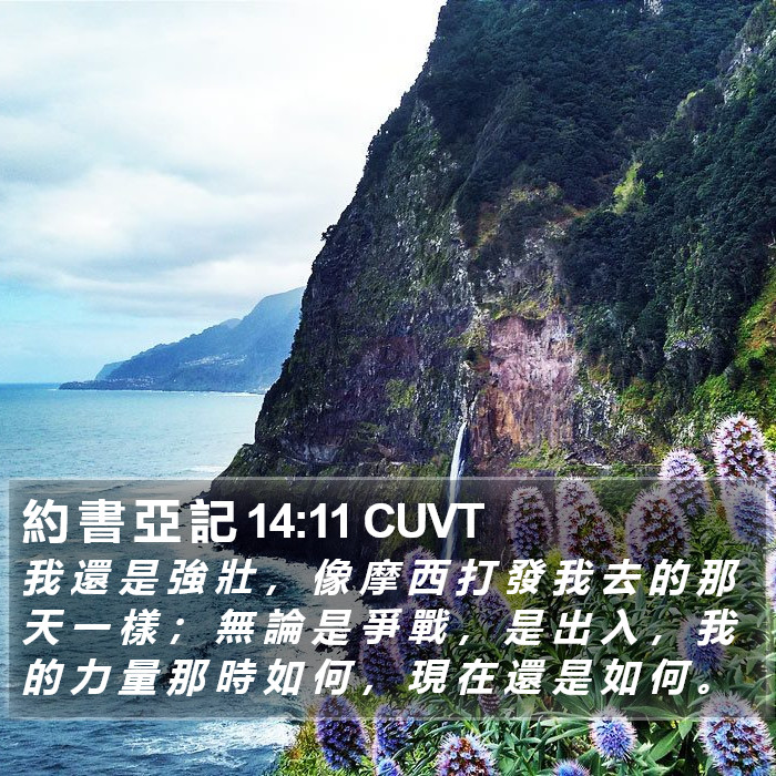 約 書 亞 記 14:11 CUVT Bible Study