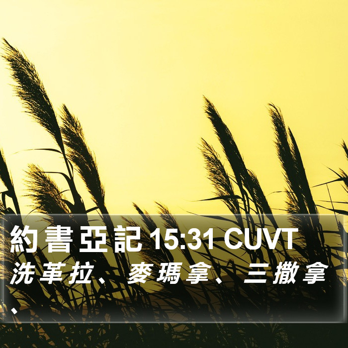 約 書 亞 記 15:31 CUVT Bible Study
