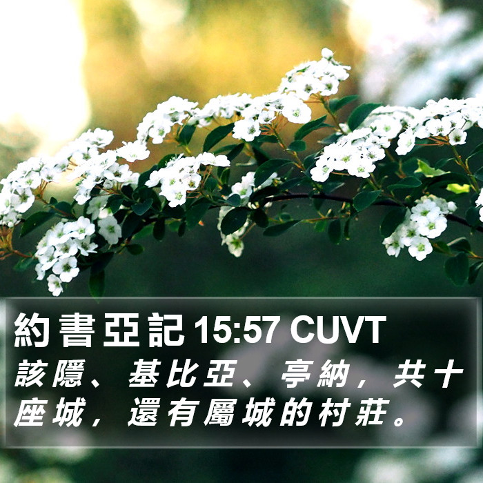 約 書 亞 記 15:57 CUVT Bible Study