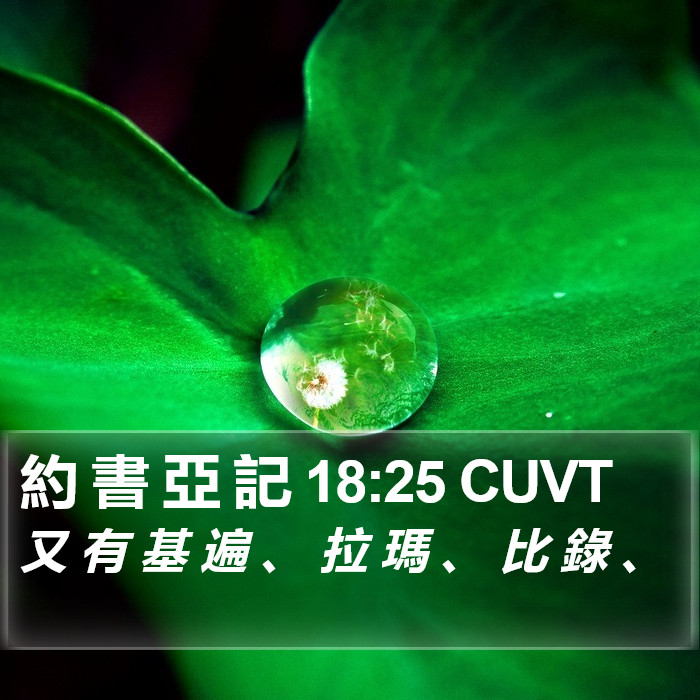 約 書 亞 記 18:25 CUVT Bible Study