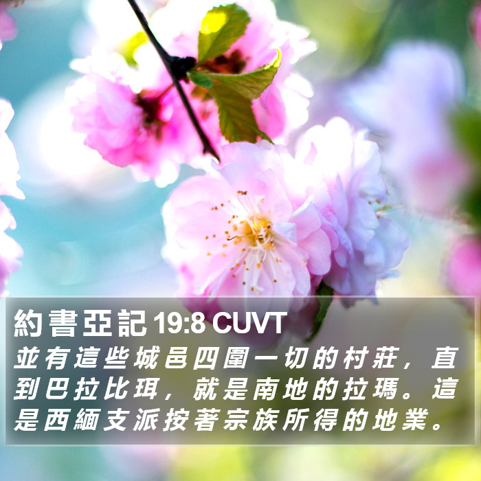 約 書 亞 記 19:8 CUVT Bible Study