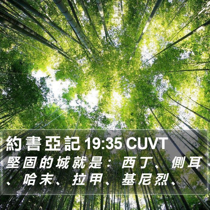約 書 亞 記 19:35 CUVT Bible Study