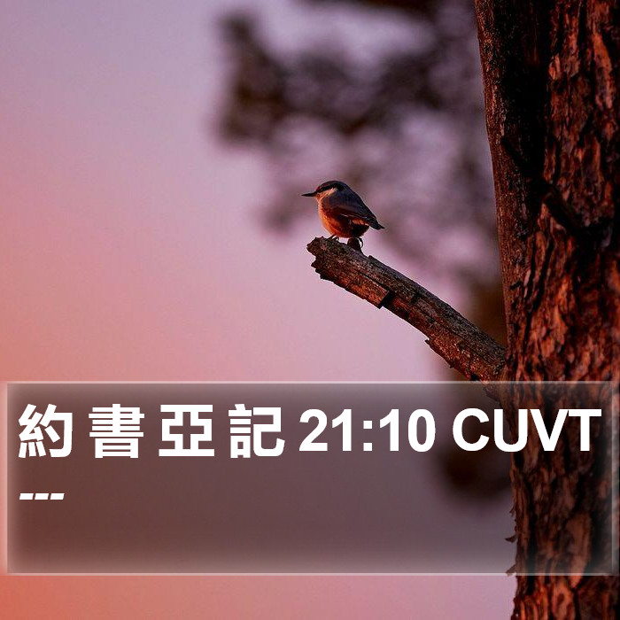 約 書 亞 記 21:10 CUVT Bible Study