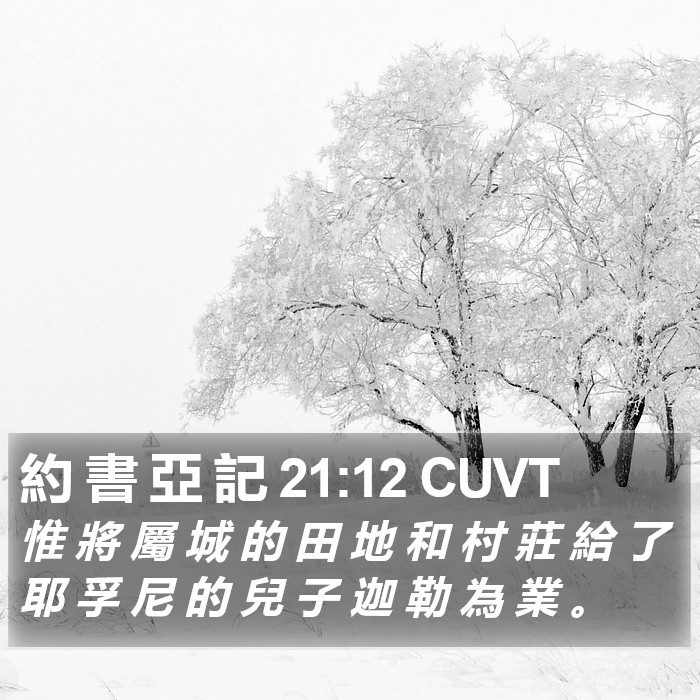 約 書 亞 記 21:12 CUVT Bible Study