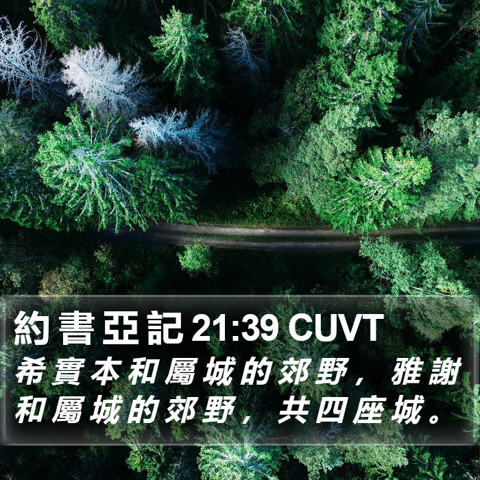 約 書 亞 記 21:39 CUVT Bible Study