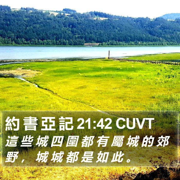 約 書 亞 記 21:42 CUVT Bible Study