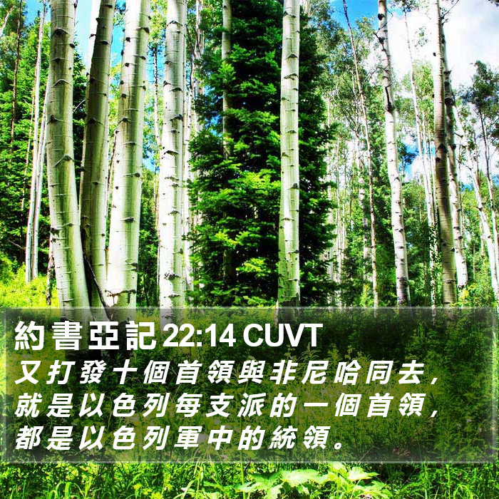 約 書 亞 記 22:14 CUVT Bible Study