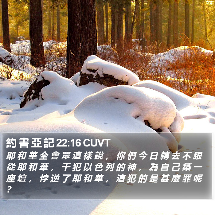 約 書 亞 記 22:16 CUVT Bible Study