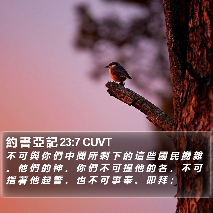 約 書 亞 記 23:7 CUVT Bible Study