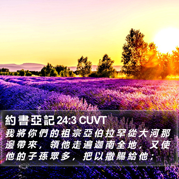 約 書 亞 記 24:3 CUVT Bible Study