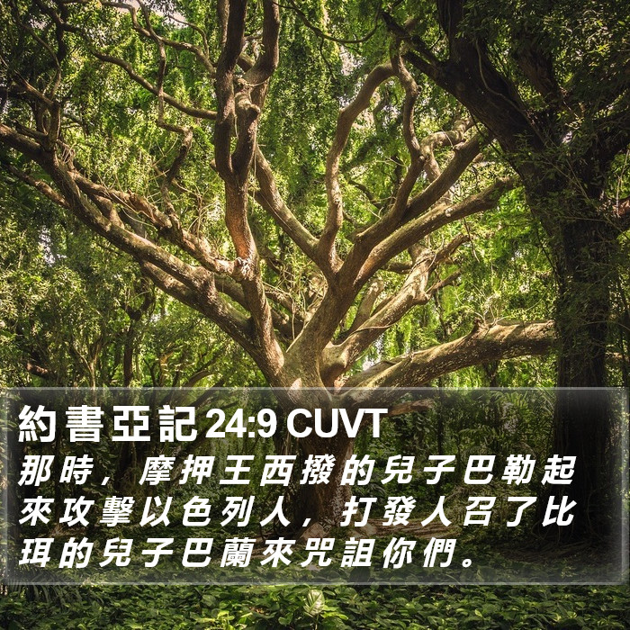 約 書 亞 記 24:9 CUVT Bible Study