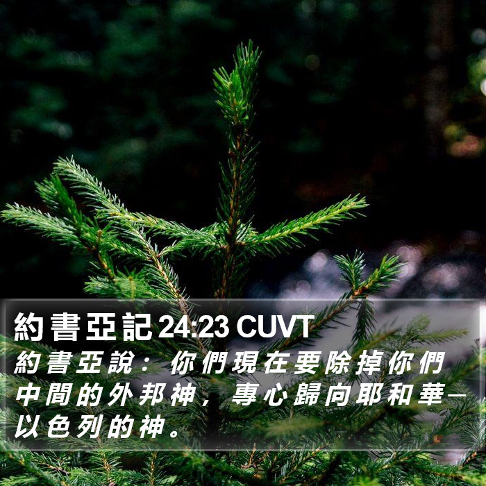 約 書 亞 記 24:23 CUVT Bible Study