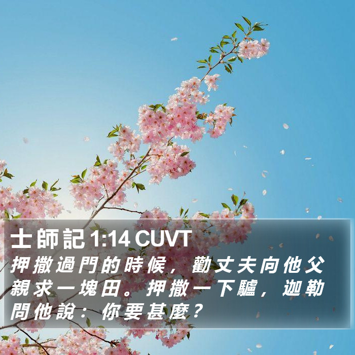 士 師 記 1:14 CUVT Bible Study