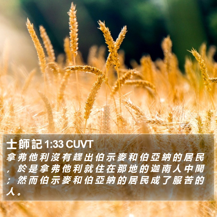 士 師 記 1:33 CUVT Bible Study