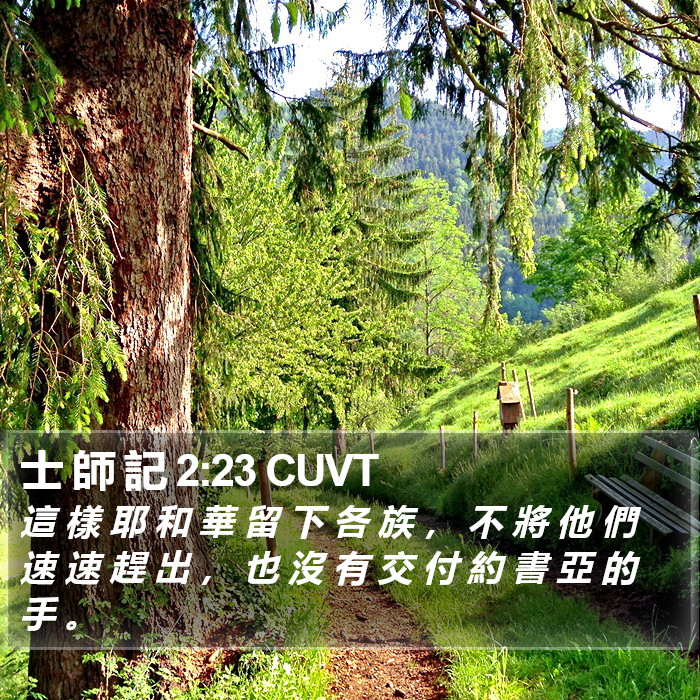 士 師 記 2:23 CUVT Bible Study