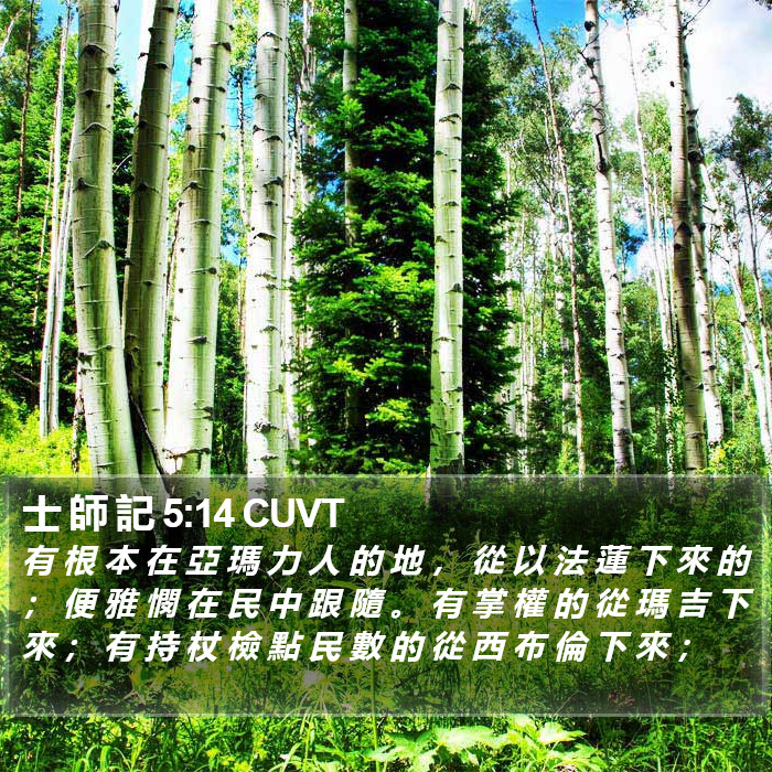 士 師 記 5:14 CUVT Bible Study