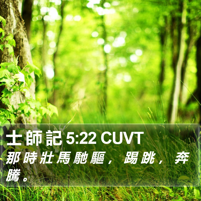 士 師 記 5:22 CUVT Bible Study