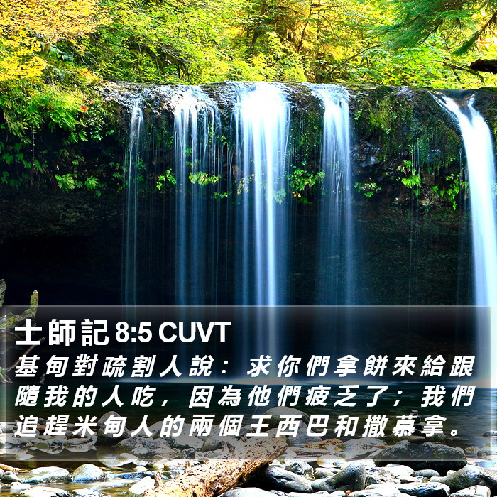 士 師 記 8:5 CUVT Bible Study