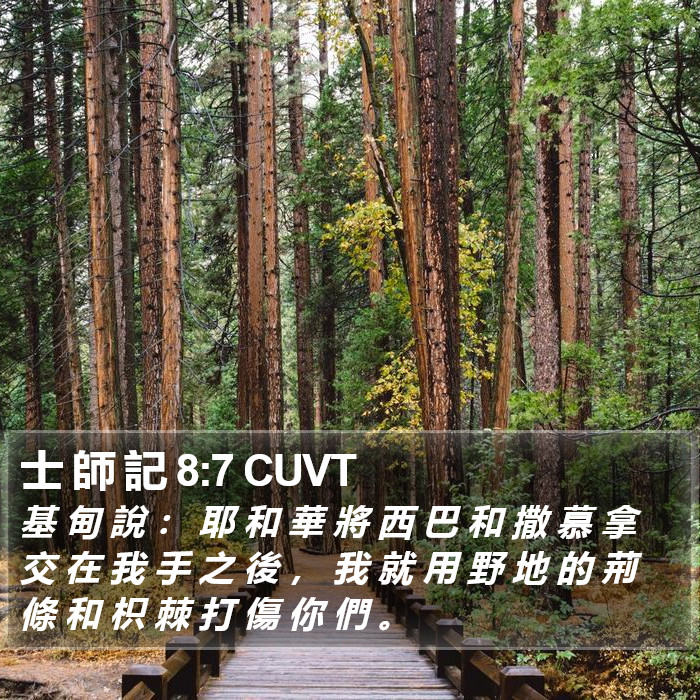 士 師 記 8:7 CUVT Bible Study