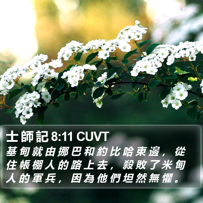 士 師 記 8:11 CUVT Bible Study