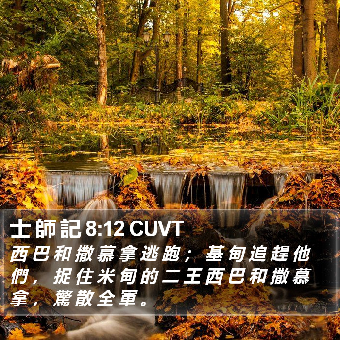 士 師 記 8:12 CUVT Bible Study