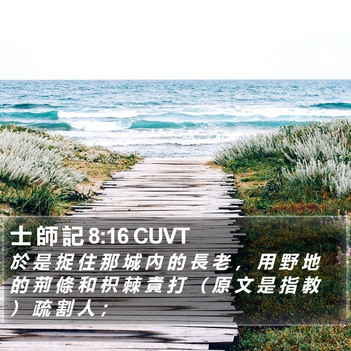 士 師 記 8:16 CUVT Bible Study