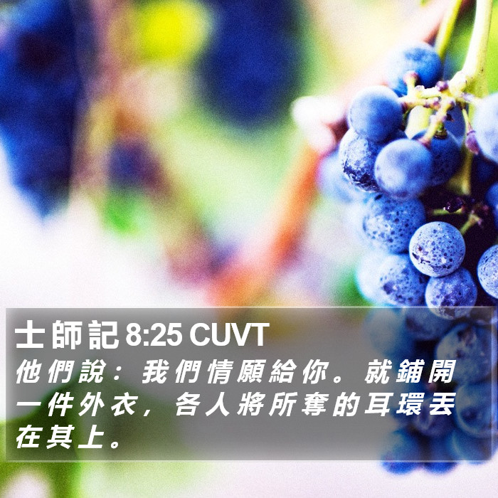 士 師 記 8:25 CUVT Bible Study