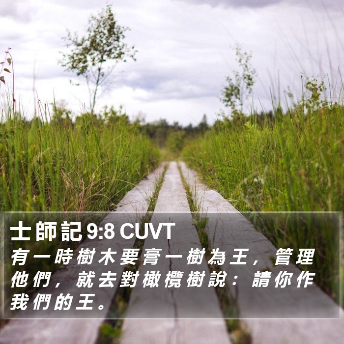 士 師 記 9:8 CUVT Bible Study