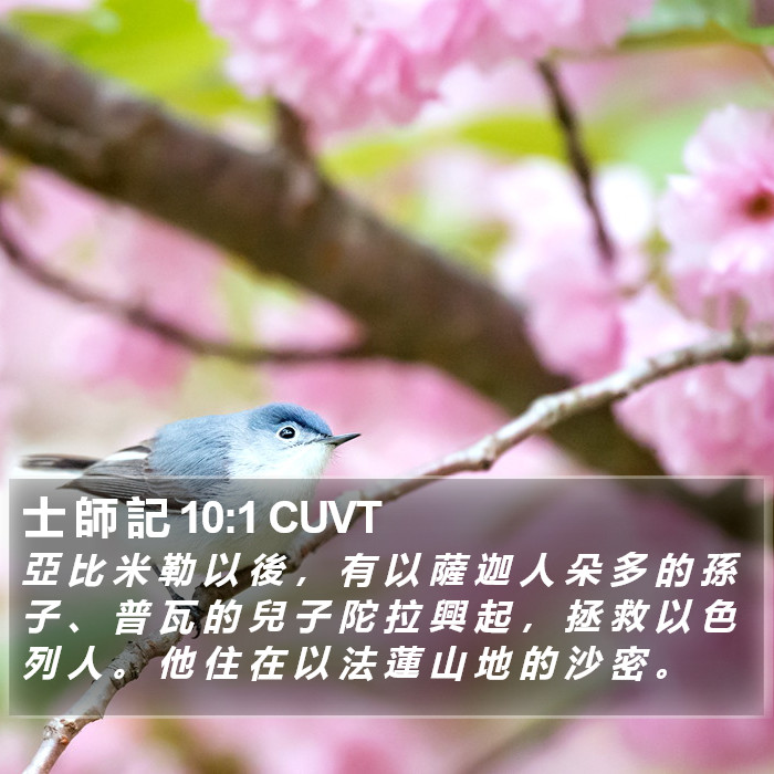 士 師 記 10:1 CUVT Bible Study