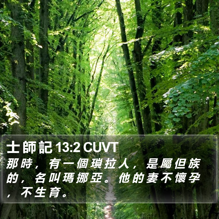 士 師 記 13:2 CUVT Bible Study