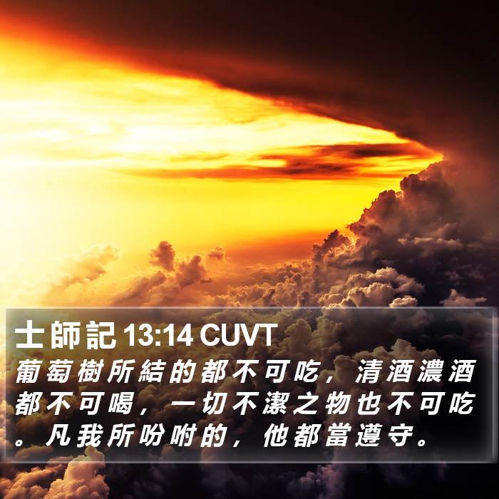 士 師 記 13:14 CUVT Bible Study