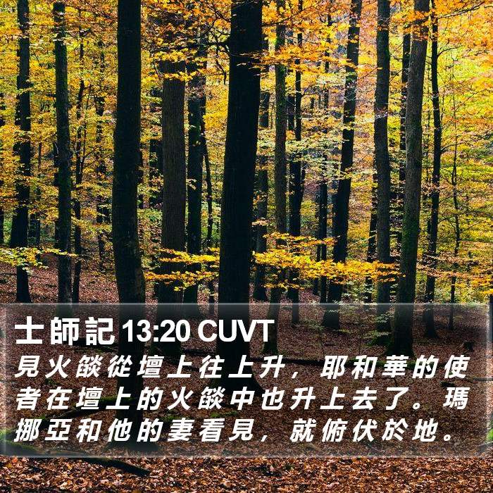 士 師 記 13:20 CUVT Bible Study