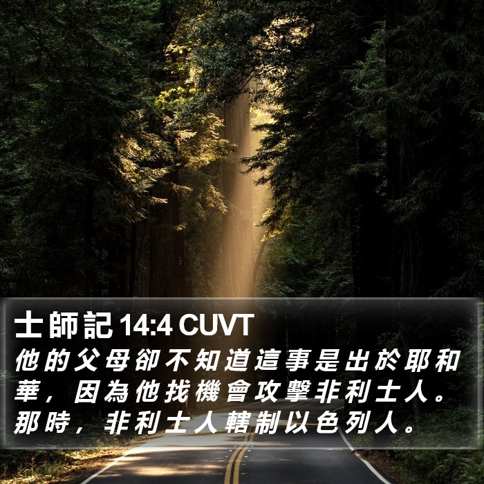 士 師 記 14:4 CUVT Bible Study