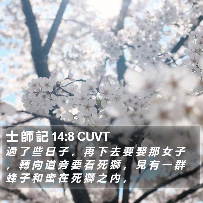 士 師 記 14:8 CUVT Bible Study