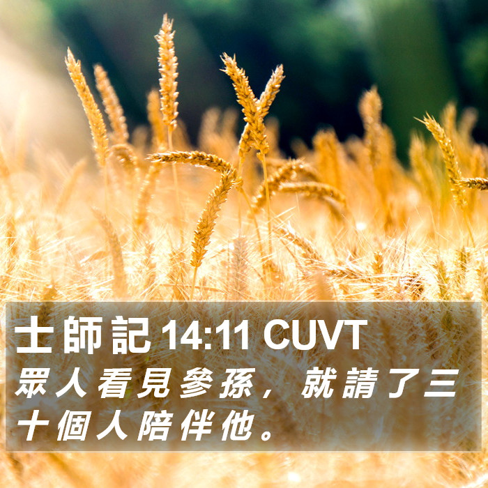 士 師 記 14:11 CUVT Bible Study