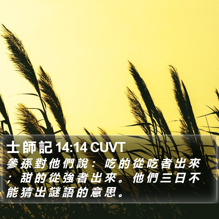 士 師 記 14:14 CUVT Bible Study