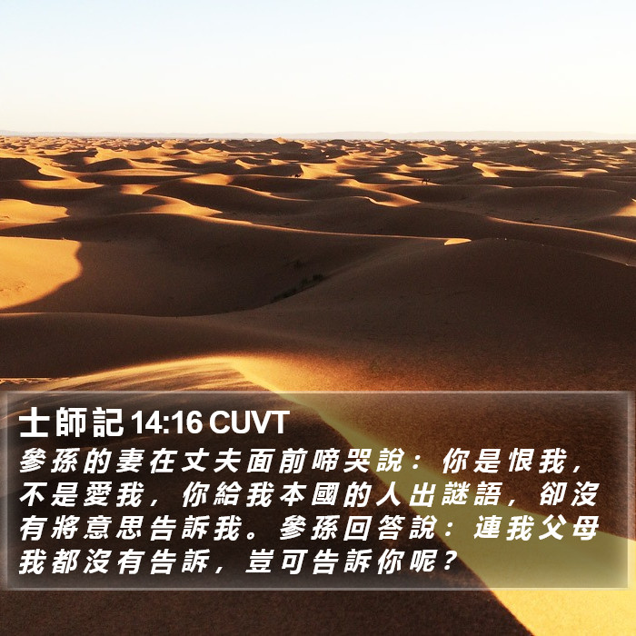 士 師 記 14:16 CUVT Bible Study