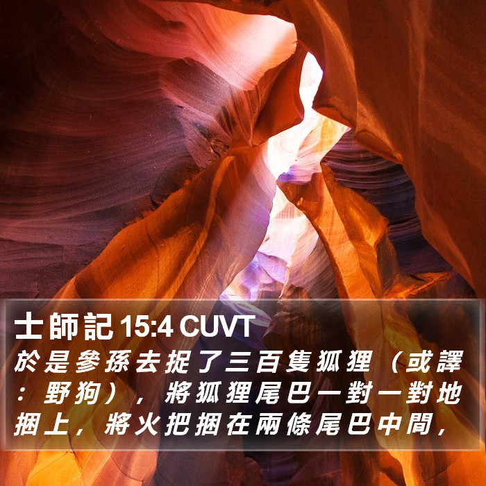 士 師 記 15:4 CUVT Bible Study