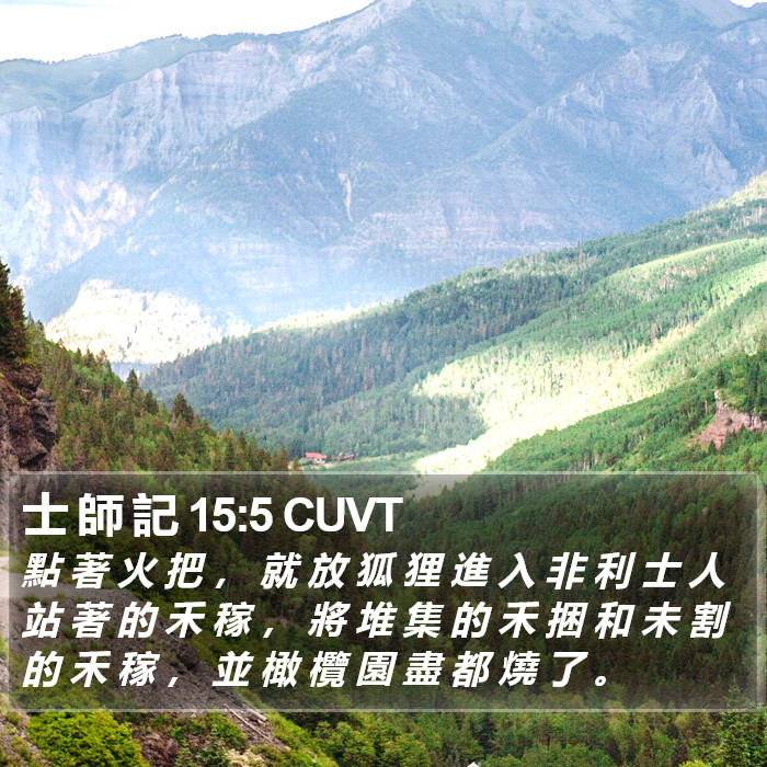 士 師 記 15:5 CUVT Bible Study