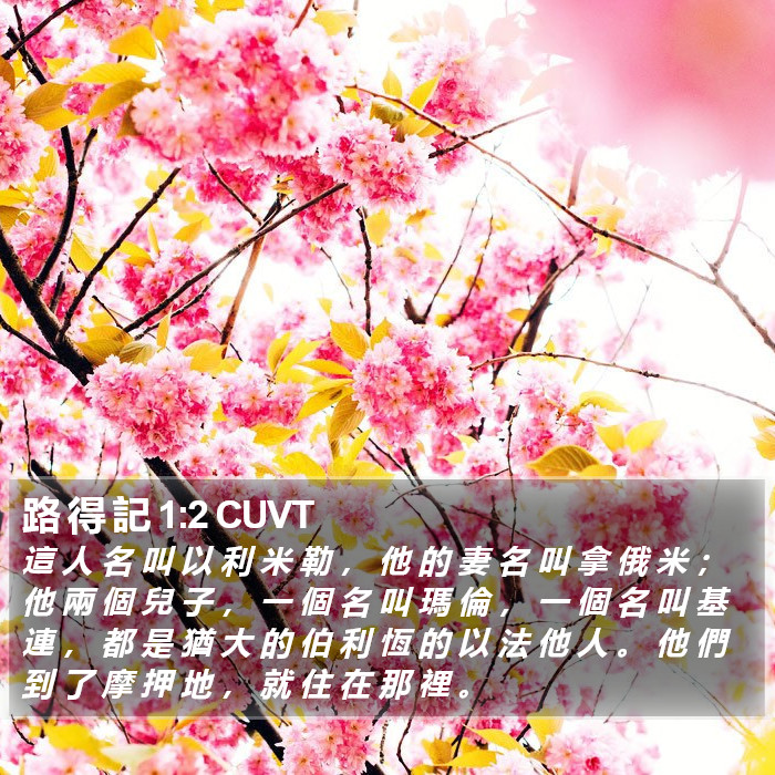 路 得 記 1:2 CUVT Bible Study