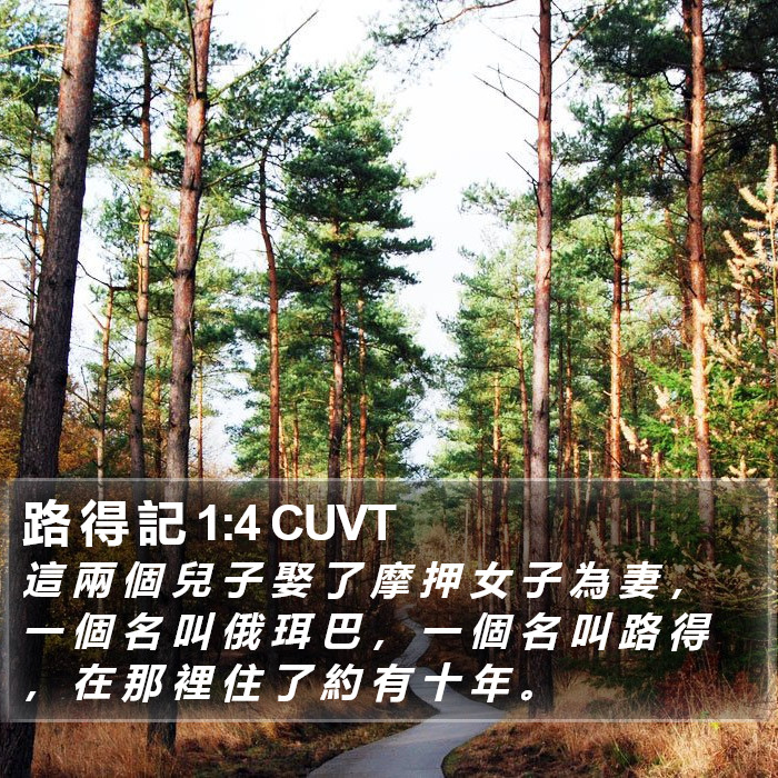 路 得 記 1:4 CUVT Bible Study