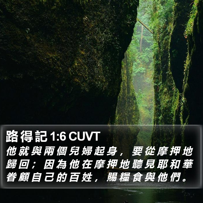 路 得 記 1:6 CUVT Bible Study