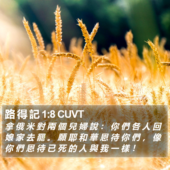 路 得 記 1:8 CUVT Bible Study