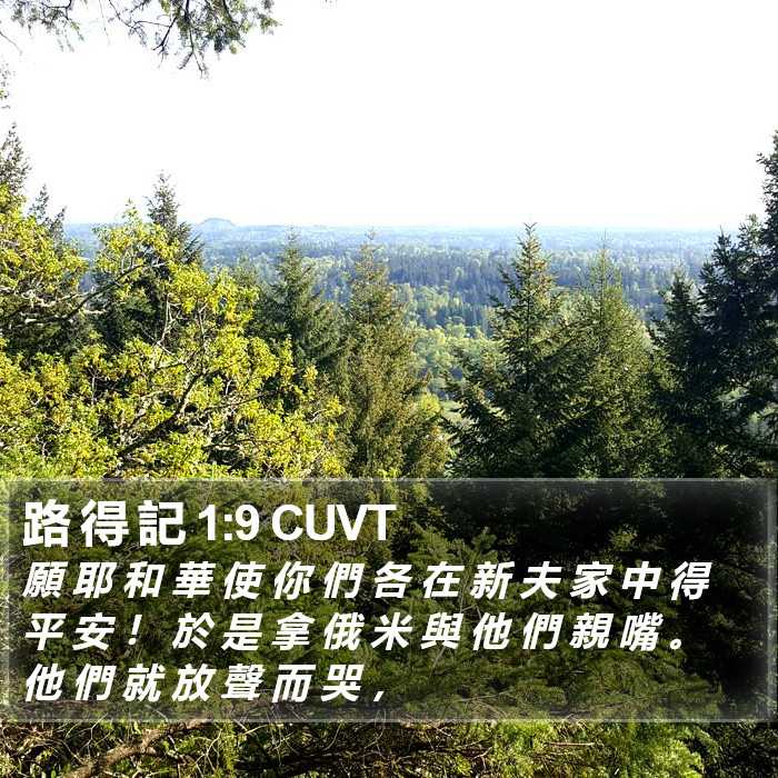 路 得 記 1:9 CUVT Bible Study