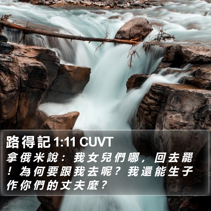 路 得 記 1:11 CUVT Bible Study