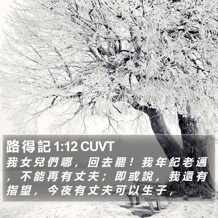 路 得 記 1:12 CUVT Bible Study