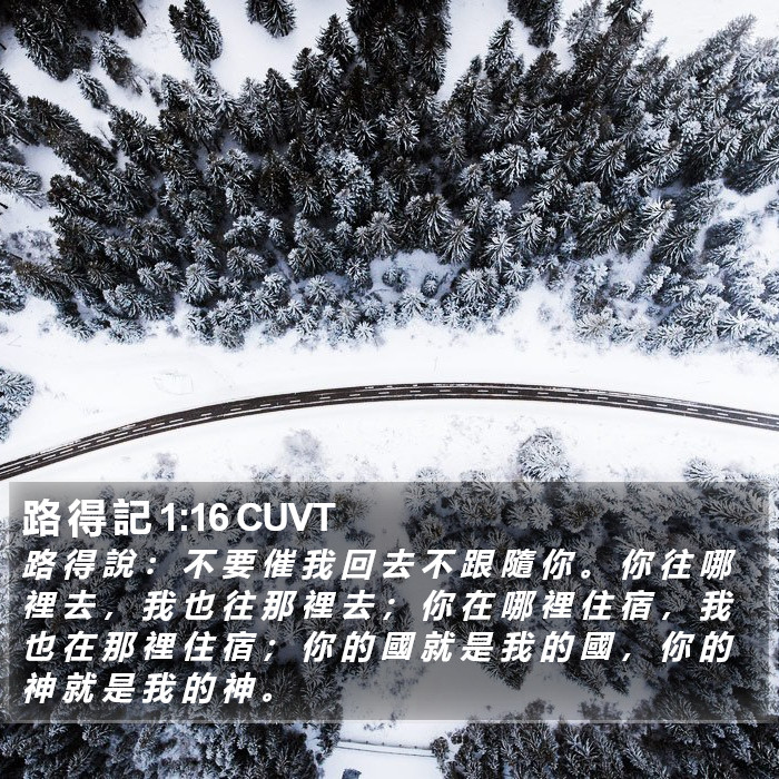 路 得 記 1:16 CUVT Bible Study