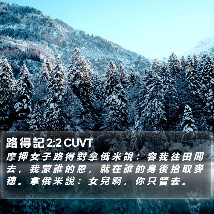 路 得 記 2:2 CUVT Bible Study