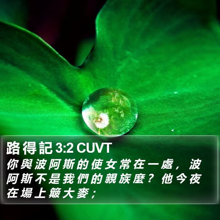 路 得 記 3:2 CUVT Bible Study